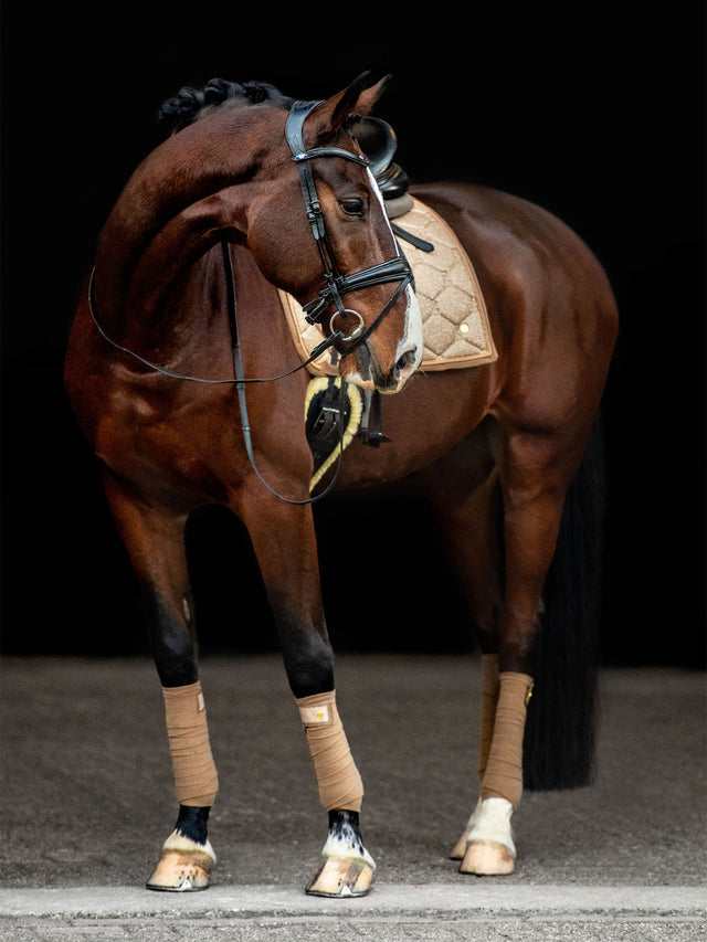PS of Sweden Stardust Bandages Gold