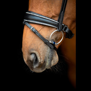 SD Design Noseband with Crystal Rocks