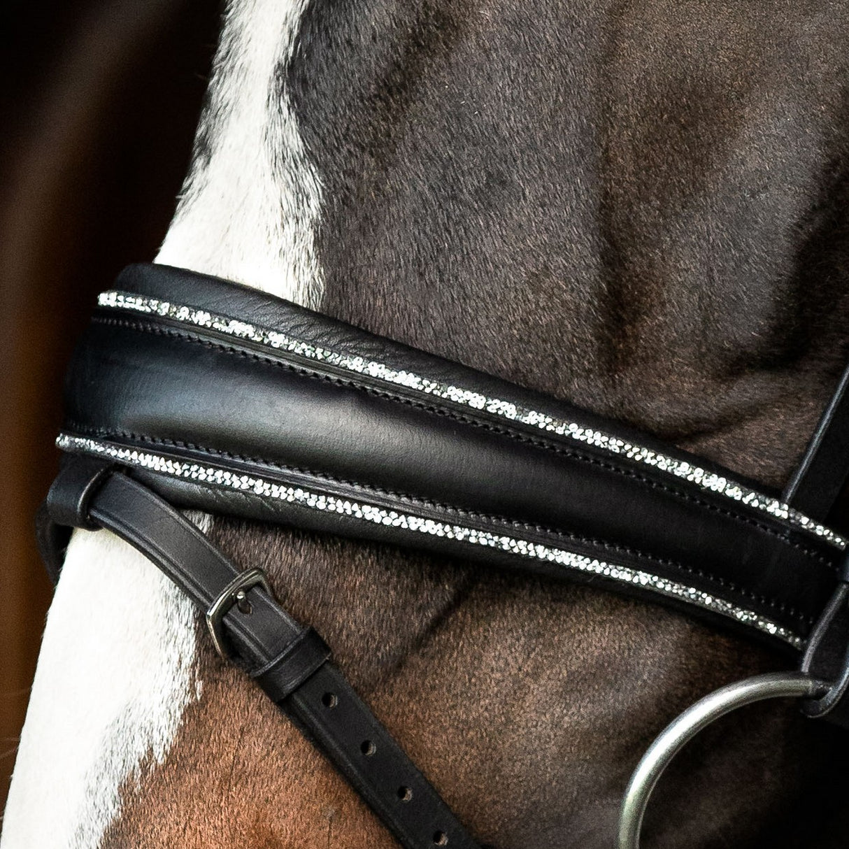 SD Design Noseband with Crystal Rocks