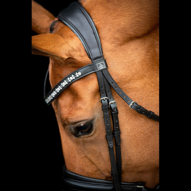 SD Design Vivaldi Browband Clear