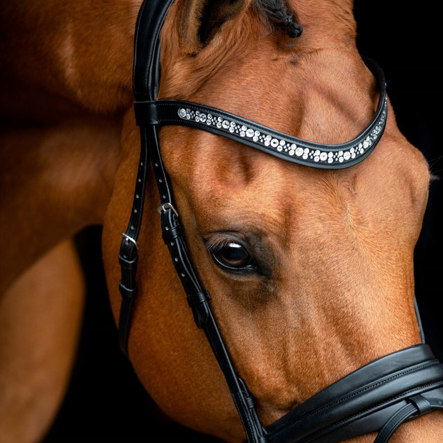 SD Design Vivaldi Browband Clear
