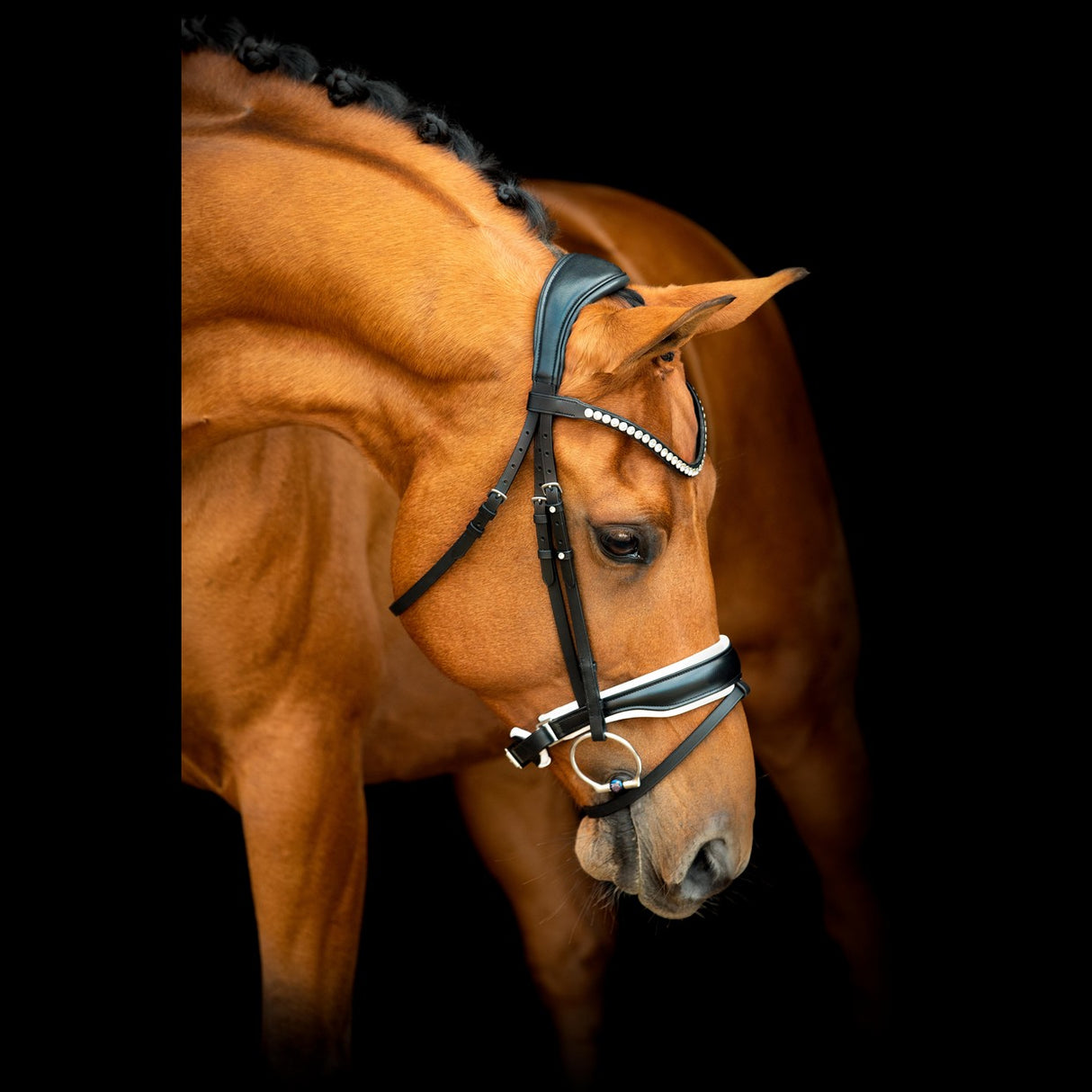 SD Design Noseband Black/White