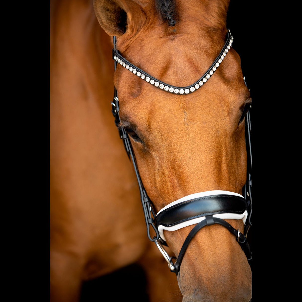 SD Design Noseband Black/White