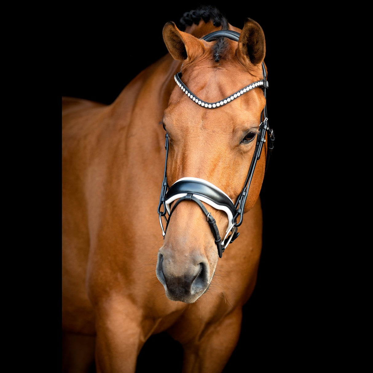 SD Design Noseband Black/White