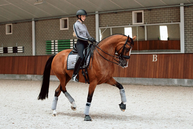 Equestrian Stockholm Dressage Saddle Pad Sportive Blue Ash