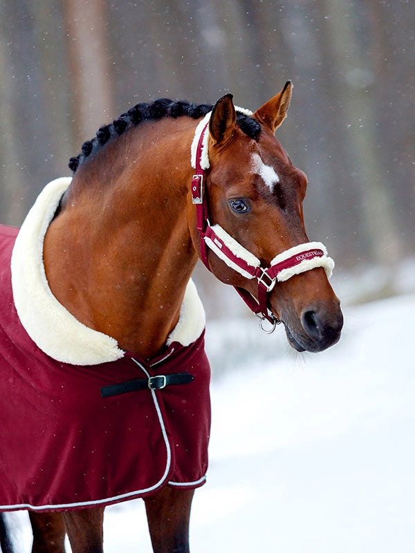 Equestrian Stockholm Fleece Headcollar & Lead Bordeaux