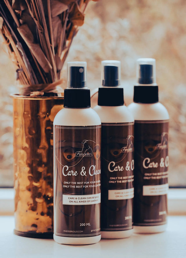 Finesse Care & Clean Spray