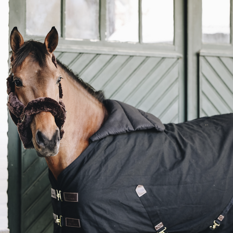 Kentucky Summer Horse Bib Black