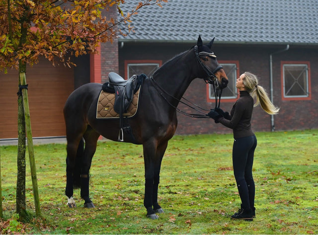 Equestrian Stockholm Dressage Saddle Pad Golden Brass