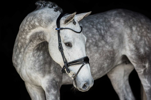 PS of Sweden GP Patent Bridle