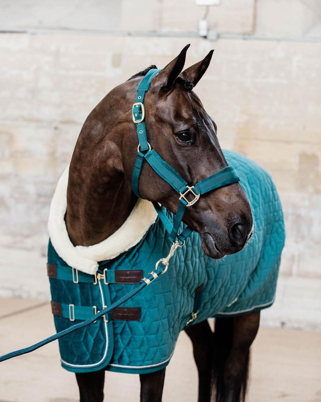 Kentucky Horsewear Velvet Halter Emerald