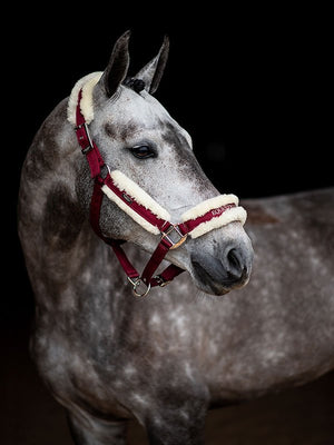 Equestrian Stockholm Fleece Headcollar & Lead Bordeaux