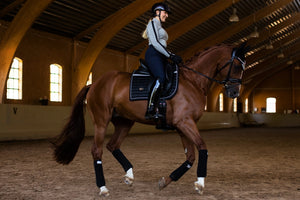 Equestrian Stockholm Dressage Saddle Pad Luminous Black