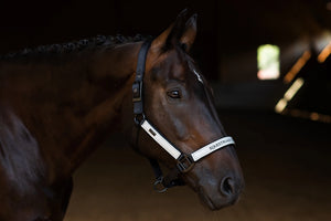 Equestrian Stockholm Halter & Lead Rope Luminous Black