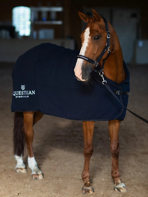 Equestrian Stockholm Wool Rug Modern Tech Navy