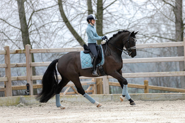 Equestrian Stockholm Dressage Saddle Pad Steel Blue